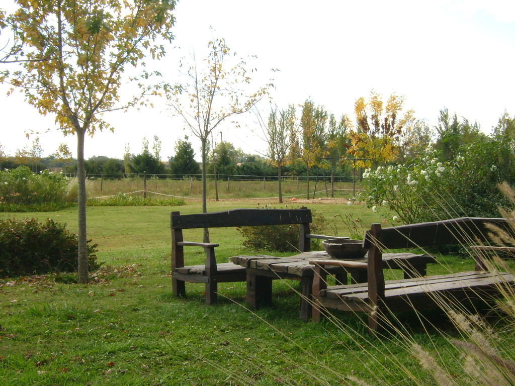 הוילה סן אנטוניו דה ארקו El Ranchito De Areco מראה חיצוני תמונה