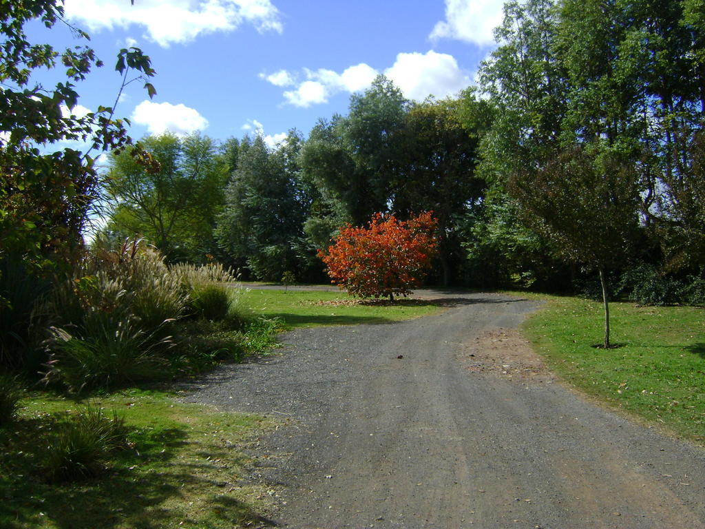 הוילה סן אנטוניו דה ארקו El Ranchito De Areco מראה חיצוני תמונה